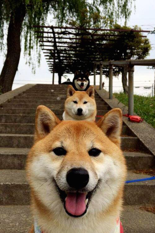 千钧重担与逆转狂潮，陈雨菲扛起全队的惊魂一夜