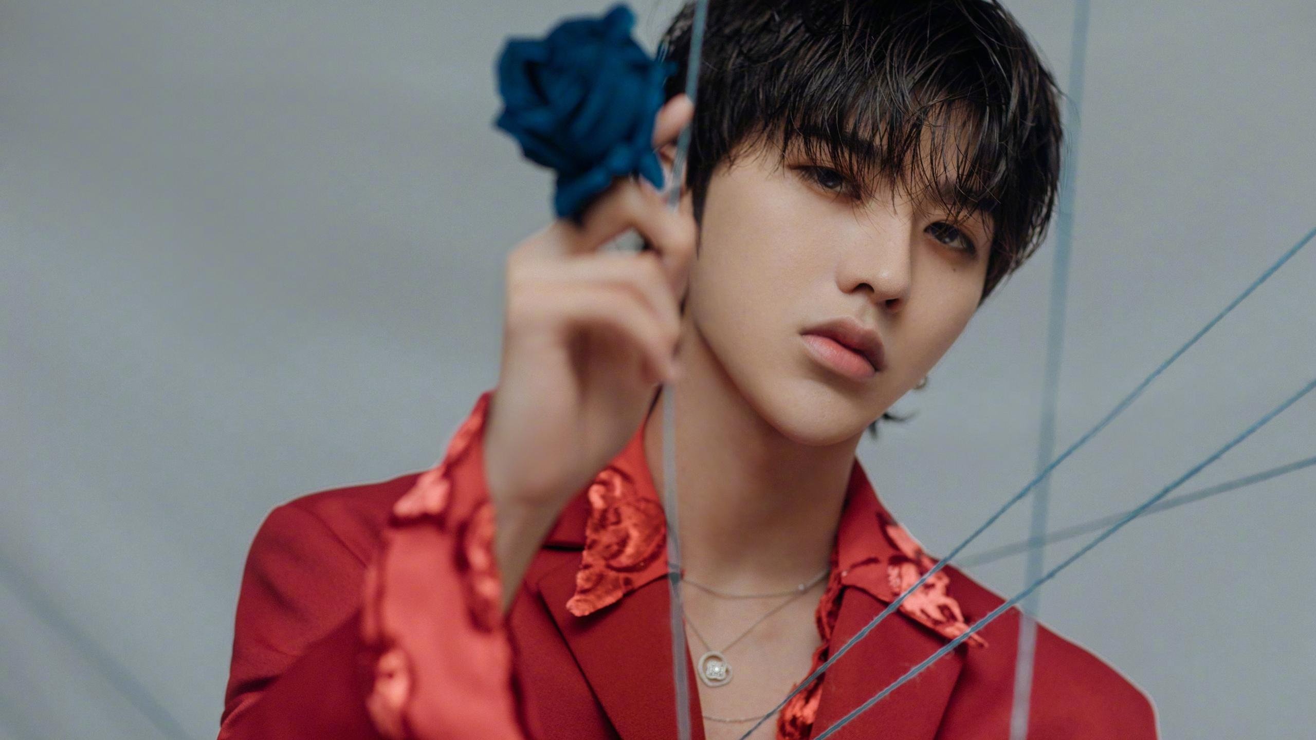 红狼绽放，远射破局，阿劳霍惊世一击主导意甲焦点战