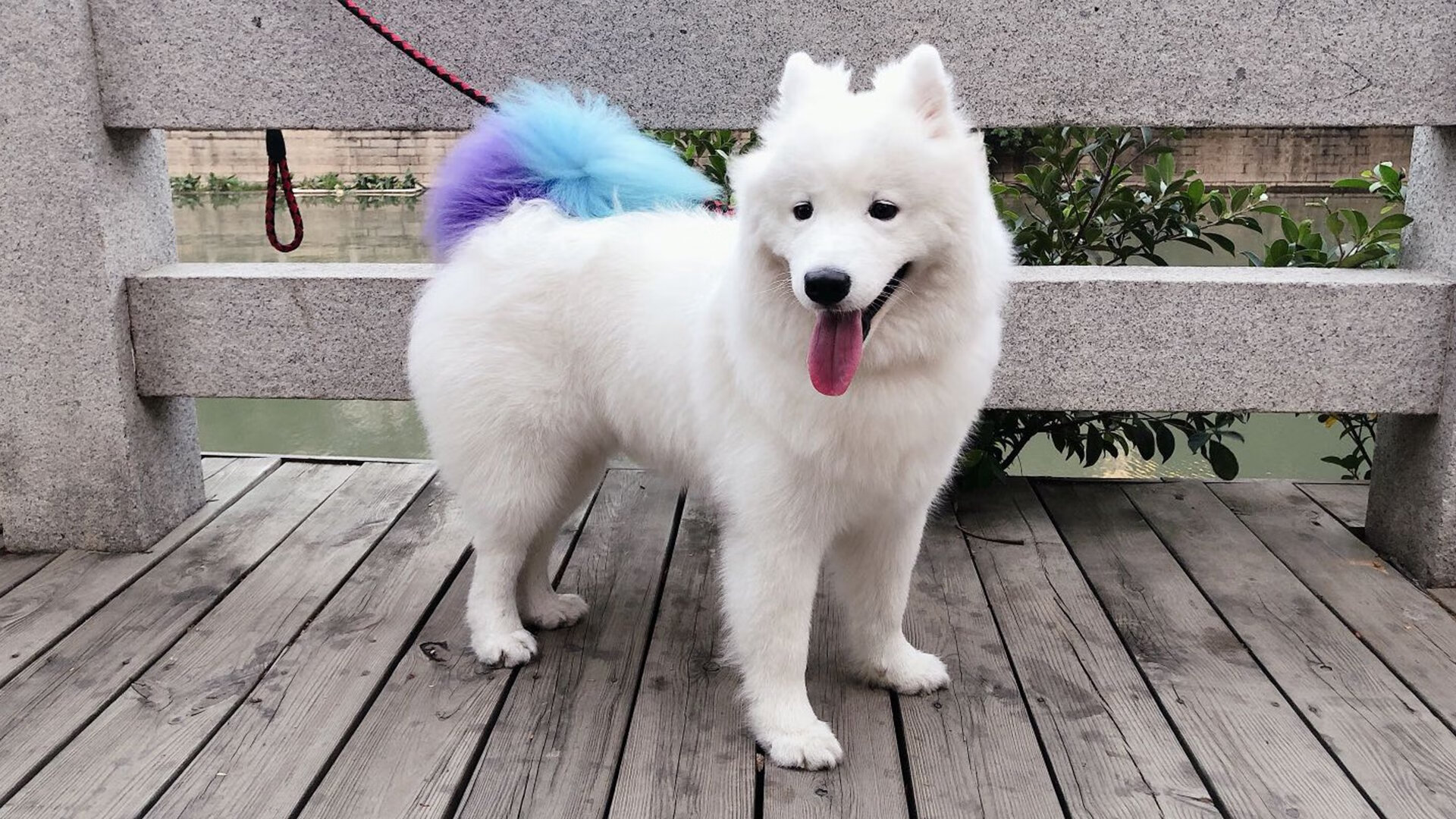 黄喜灿引爆雷恩逆转之夜,补时绝杀震惊法甲