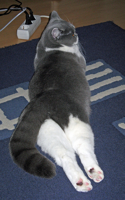 直播室里的上帝视角，格列兹曼如何隔空执掌土耳其冰岛之战