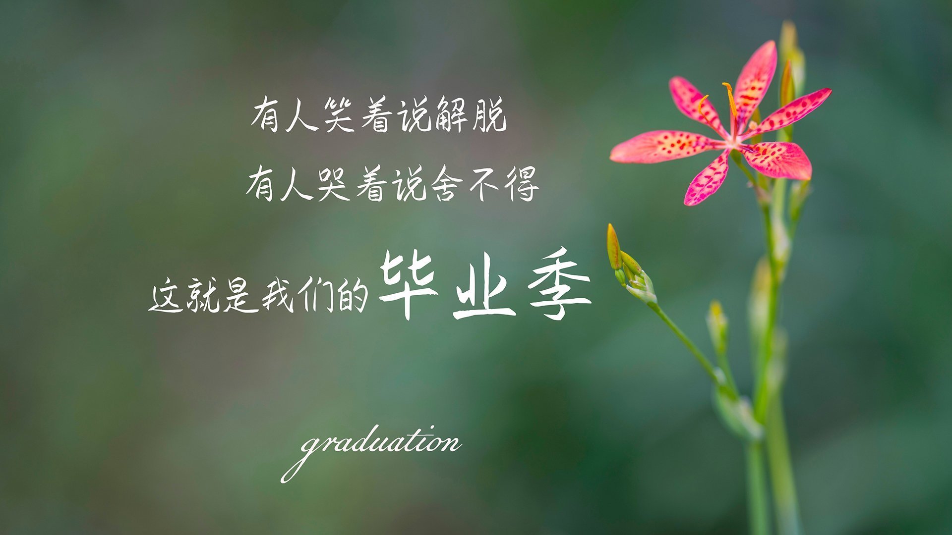 冰与火的对决，吉林血拼雷霆，铸就年度焦点之战