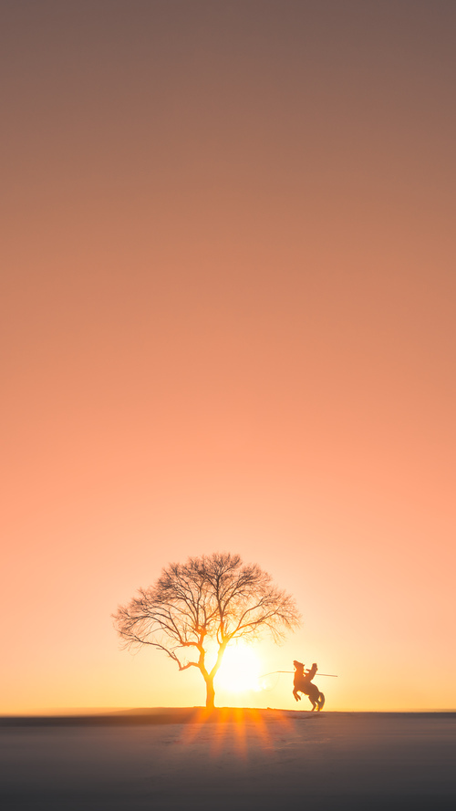 从沉默到轰鸣，班凯罗的制胜一跃与国王的战术交响
