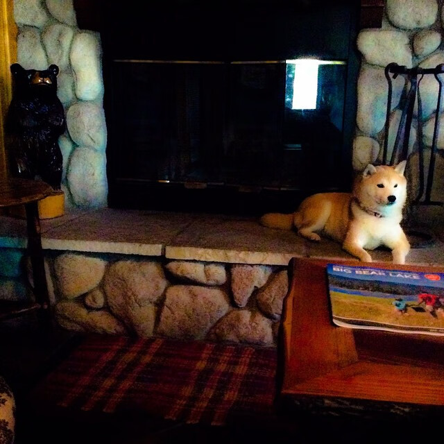 都灵城铁壁铸胜局—范戴克一夫当关，尤文稳擒智利利刃