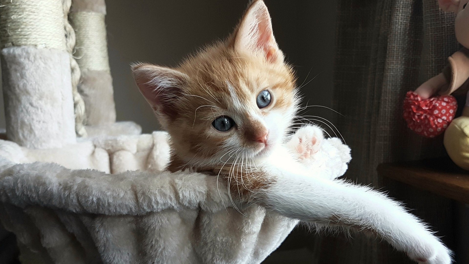 逆袭者之歌，贝恩星火燎原，鹈鹕斩落传统巨人马刺