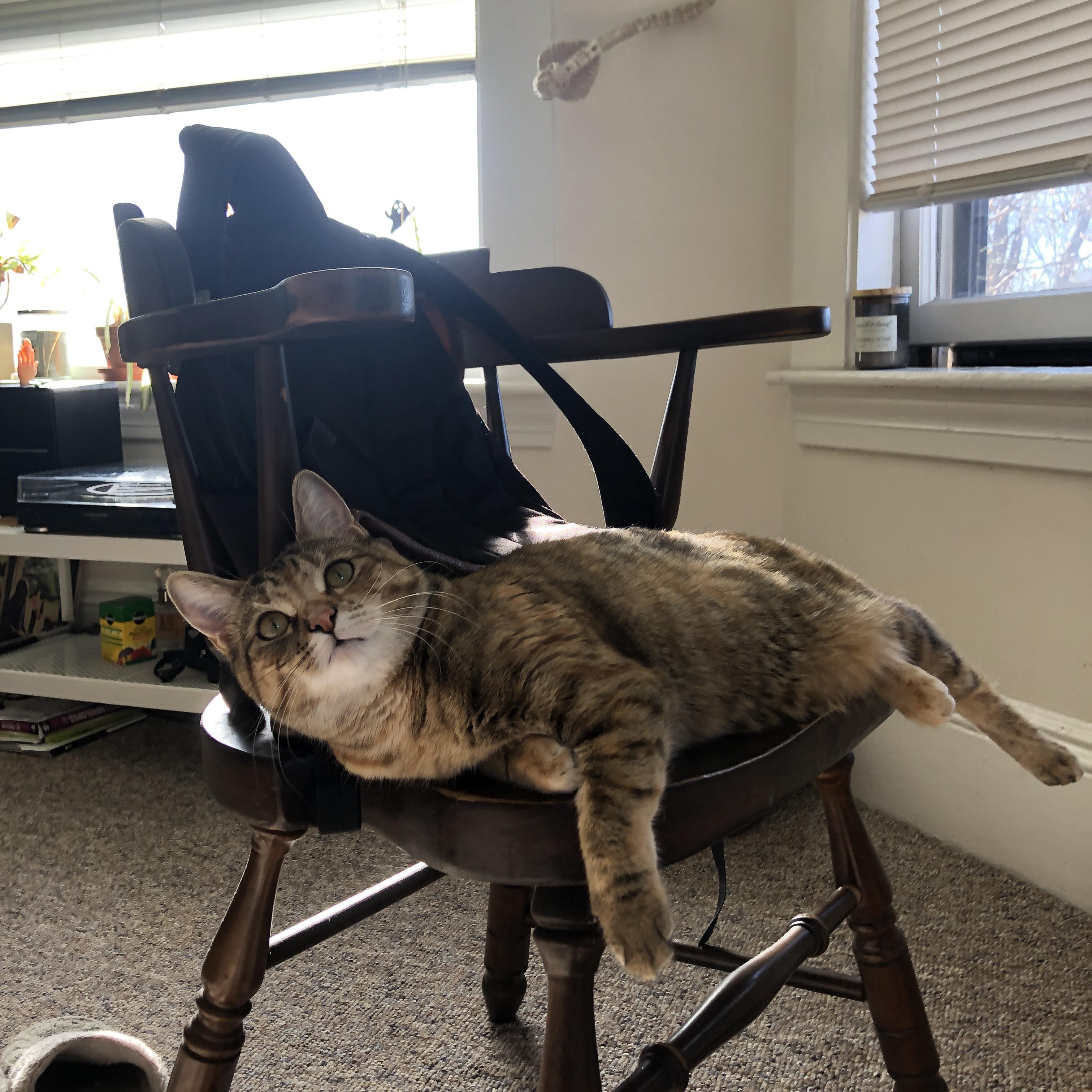 橙衣风暴与太极虎,一场非典型的洲际对话