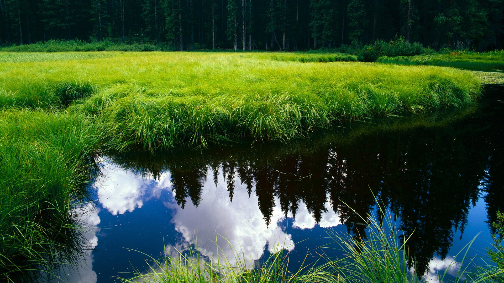 唯一的夜晚与不朽的传承,当喀麦隆绝境逆袭,本泽马刺破时光