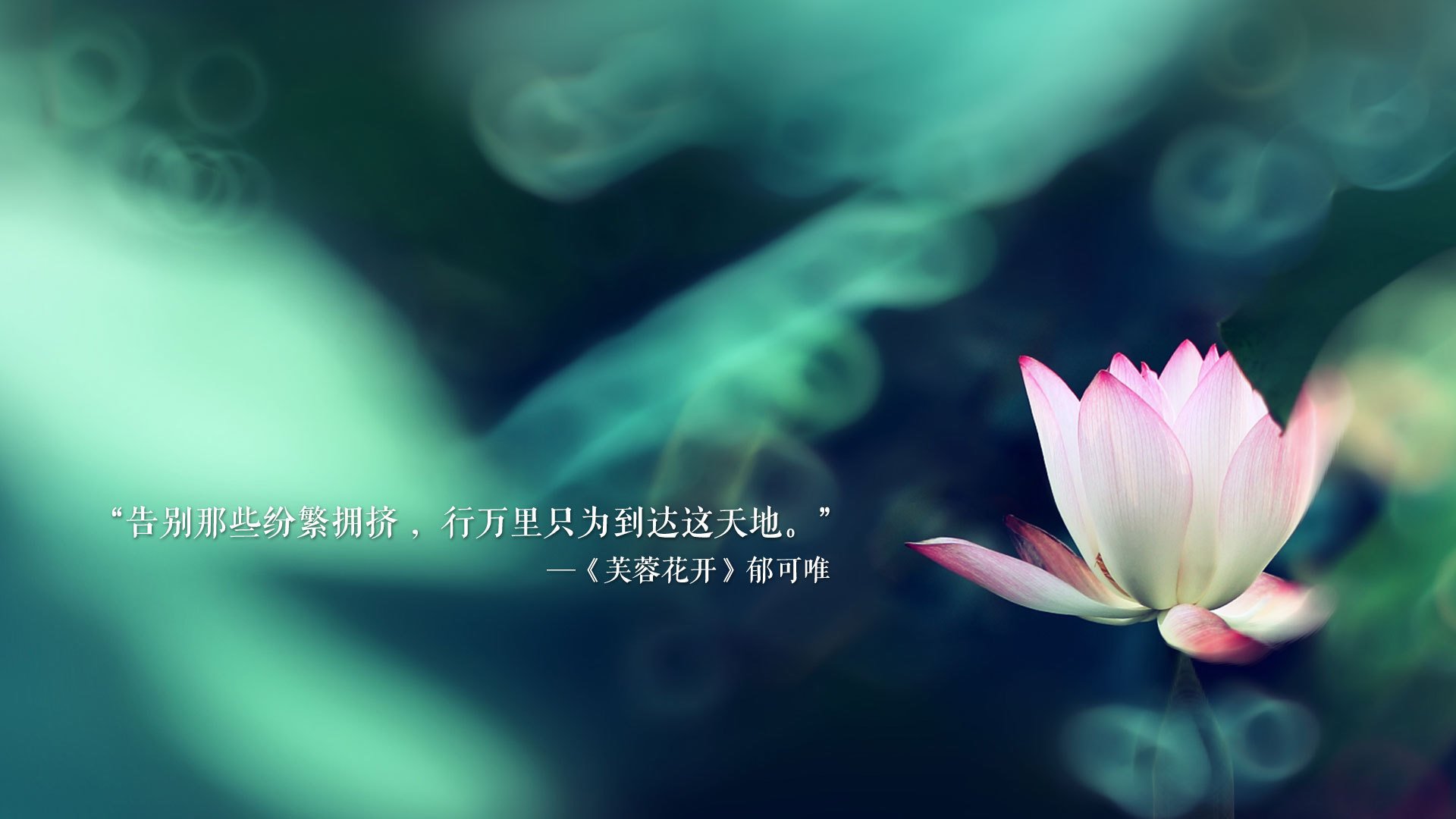 2026世界杯C组烽火连天，日本风暴碾碎匈牙利，登贝莱独舞点燃不眠之夜