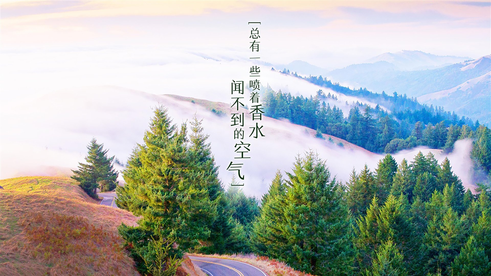 冷门与热望，2026世界杯黑马之战，尼日利亚如何用闪电战术撕碎瑞士，萨内闪耀成时代注脚