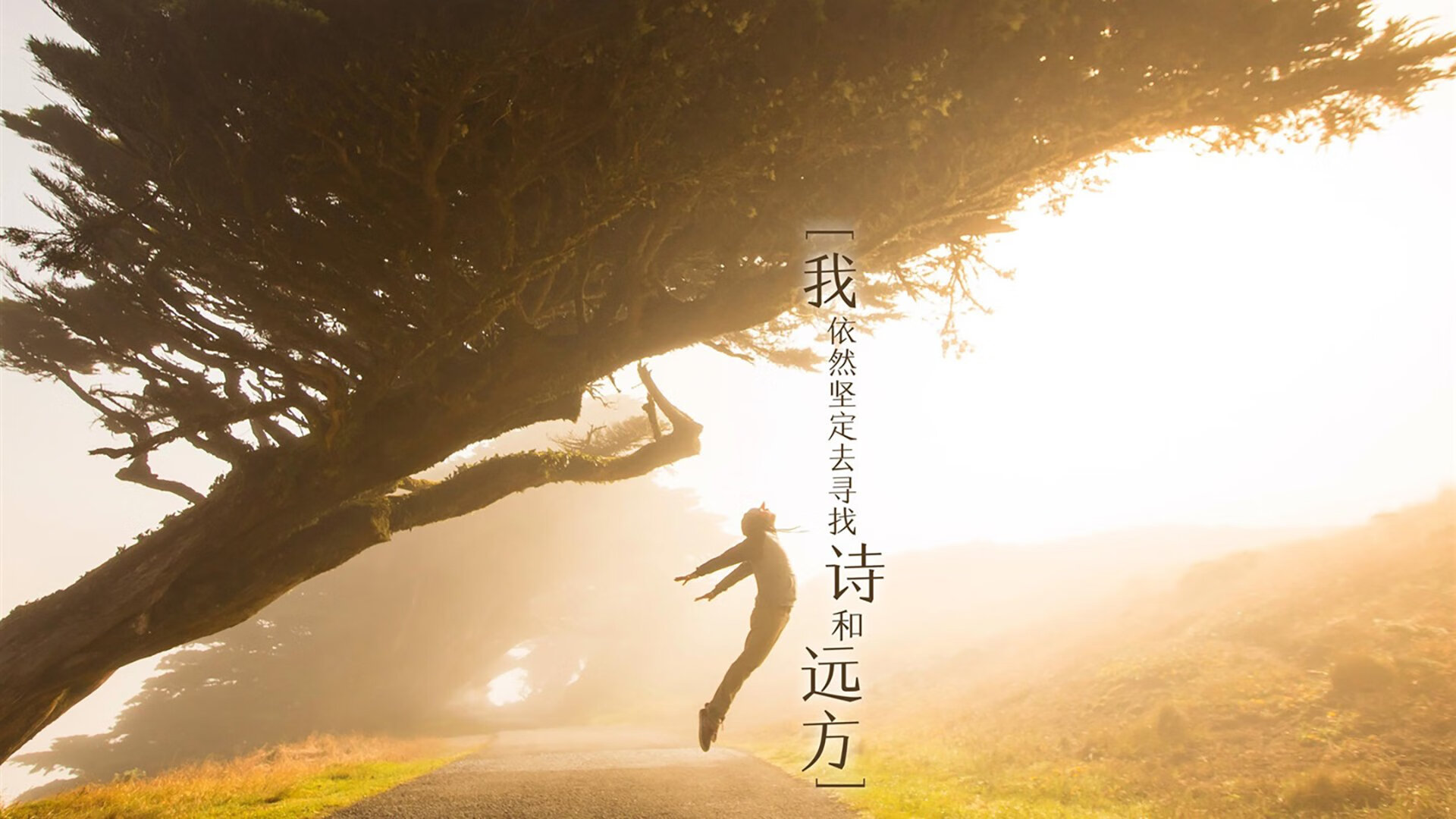 逆转之王，卢卡库导演世界杯B组生死战，喀麦隆用10分钟击碎厄瓜多尔32年梦想