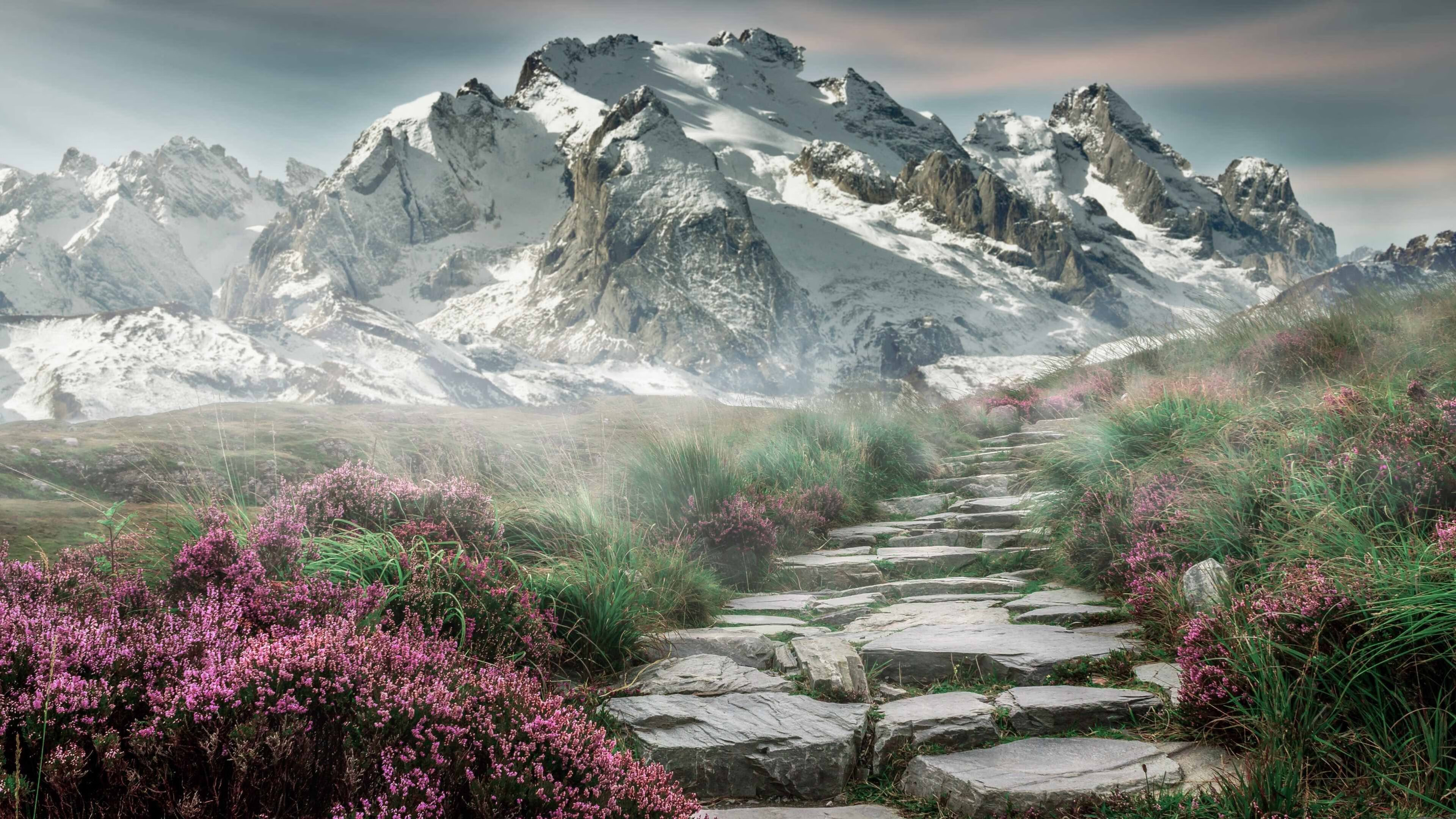 孤星照沙场，2026世界杯B组，奥斯梅恩一己之力撕裂伊朗铁壁